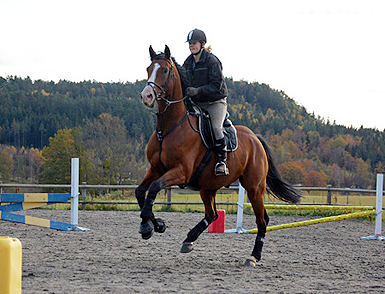 Festis-hoppning-091118-003.jpg