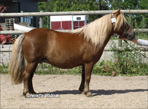 09rock_rosenhagas_irene.jpg