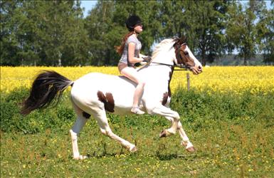 klasselover-sommar09.jpg