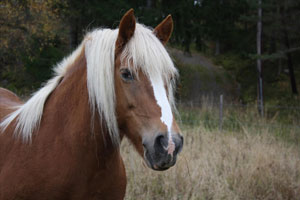 bild6.jpg