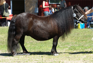 naomi_v_d_ bloemhof_malmk09.jpg