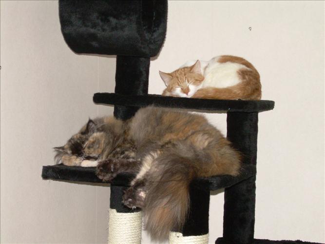 Minou pch Polly!