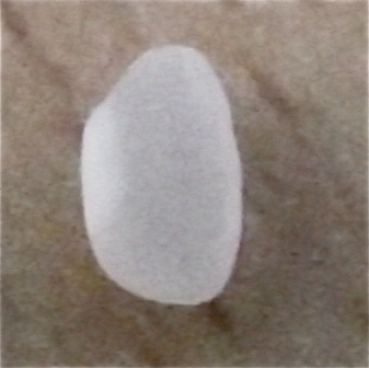 DSCF2082.JPG