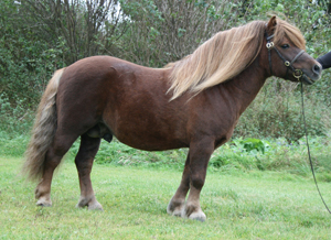 eros_gm09.jpg