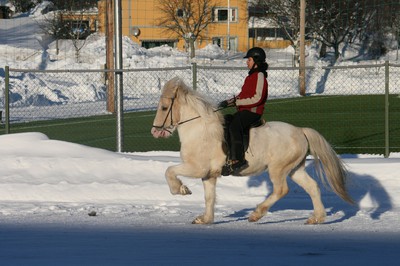 aboti2_73681441.jpg