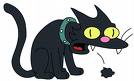 barts cat