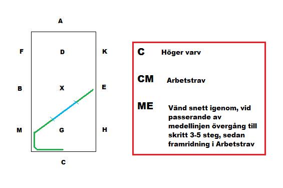 lc2-2.jpg