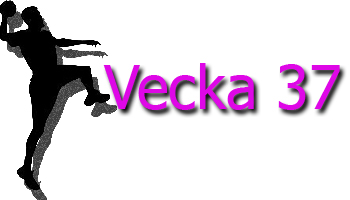Vecka 37