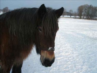 bebbe0109.JPG