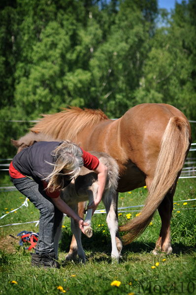 bild394.jpg