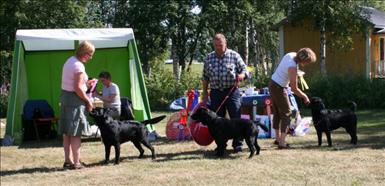IMG_1080 klippt.jpg