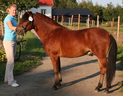 Bonusbjörketorp.JPG