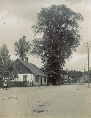 Hela bilden