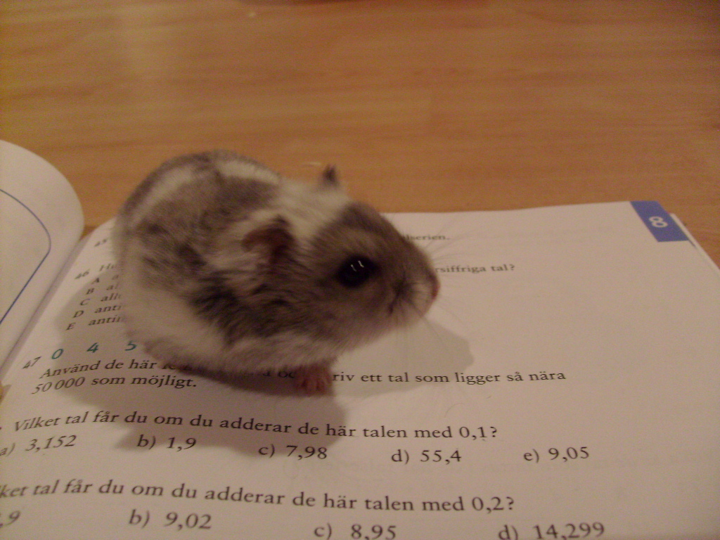Vinnare Tematävlingen (18)