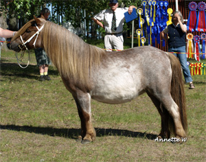 lupina_malmk09.jpg