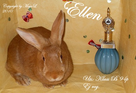 ellen01redigerad.jpg