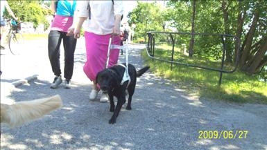 hund23_1.jpg