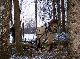 Vinnarbild februari