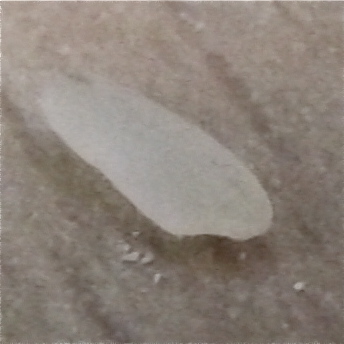 DSCF2084.JPG