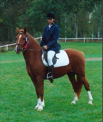 Dimmans Denitha RNF 187-S, Kvalitetsbedömning i Nybro 1998