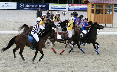 horseball.jpg