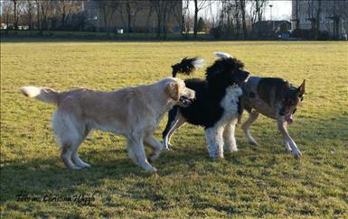 Gorm, Tyson, Boy 062.jpg