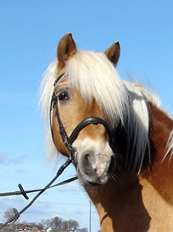 bild4.jpg