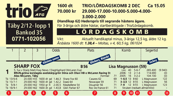 Namnlös1.png