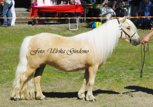 johannesbergs_golden_queen_malmk09.jpg