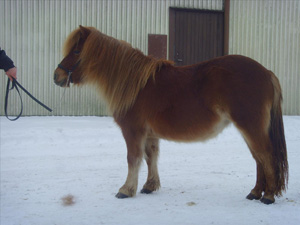 risslas_kelda_norraasum09.JPG