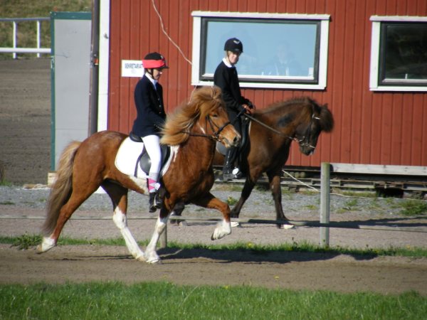 DSCF1607.jpg
