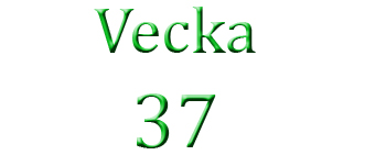 Vecka 37
