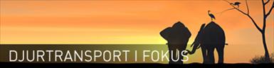 djurtransport.jpg