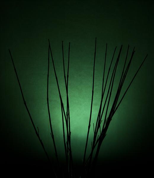 gren.jpg