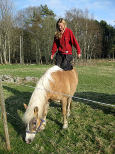bild3.jpg