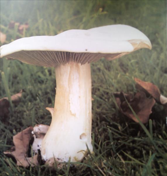PICT0066.JPG