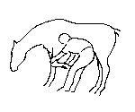 7.gif