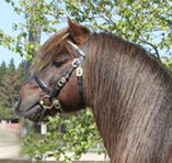 oskar1.jpg