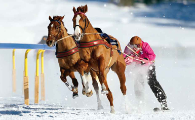 whiteturf4.jpg