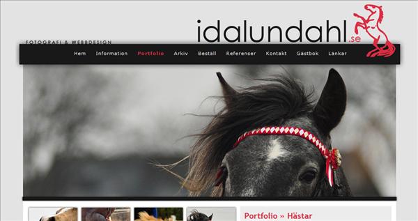 Hemsida till Fotografen del 2