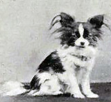 år 1915