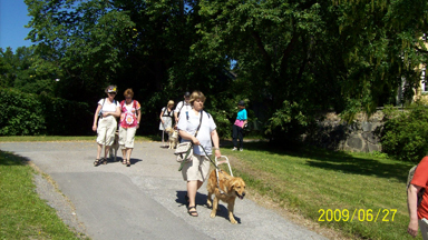 hund03.jpg