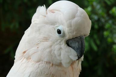 blondieb38_032.JPG