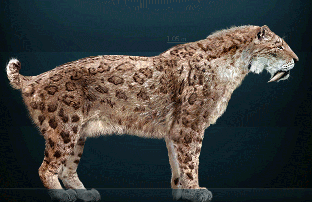 smilodon.gif