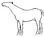 1.gif