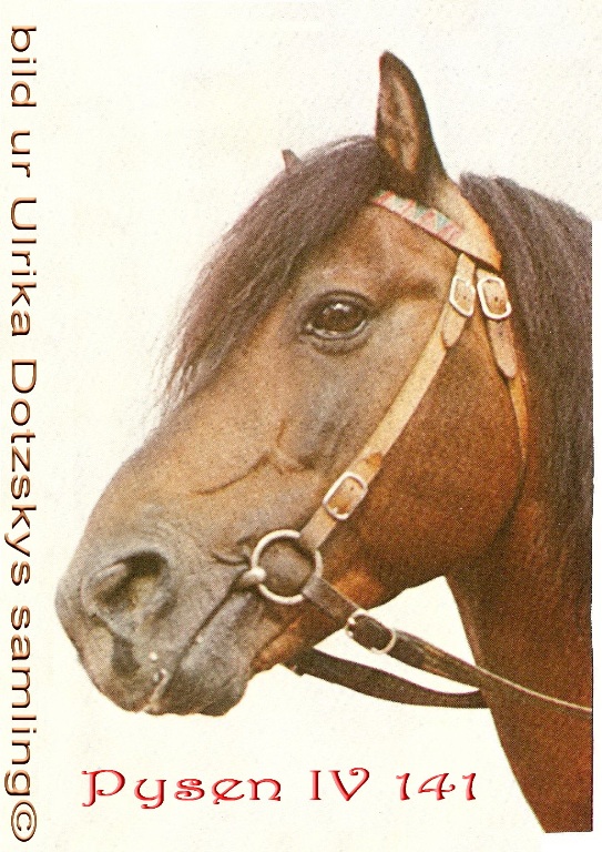 Pysen IV 141©