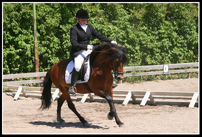 Russbilden Juli 2010