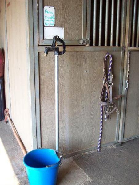 stable_pic.jpg