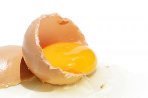 1001416_egg_3.jpg