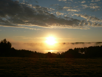 Stark sol på hemlen